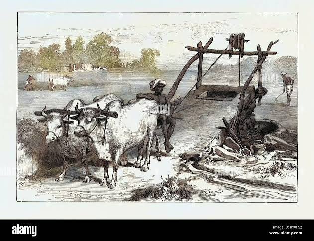 Famine india 1874 hi-res stock photography and images - Alamy