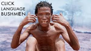 Including their history, how they live today and a list of famous rock art sites. The San People Of Africa Guide To The Kalahari Bushmen Tribes