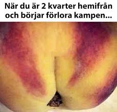 Image result for site:byggahus.se förlora