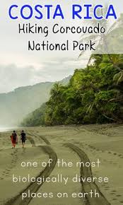 Es la estación con más infraestructura para los visitantes y se encuentra en el corazón del parque nacional corcovado, rodeada de bosques secundarios y primarios. 71 Corcovado National Park Ideas Corcovado National Park Tropical Rainforest Central America