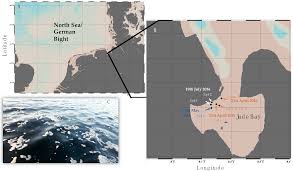 Overlooked Diversity of Ultramicrobacterial Minorities at the Air-Sea  Interface