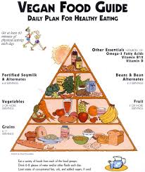 vegan foof guide the vegan food pyramid d vegan vegan