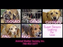 Locally owned and operated in zanesville, ohio we take pride in providing a top notch shopping experience for you and. We Love Pets Zanesville Petscare