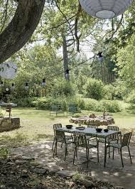 Image result for Grona stolzii