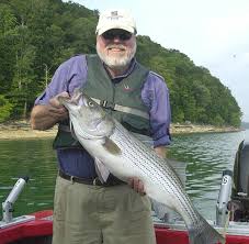 Maybe you would like to learn more about one of these? Art Lander S Outdoors The Striped Bass Is Now Present In Kentucky S Lakes Tailwaters And Rivers Nkytribune
