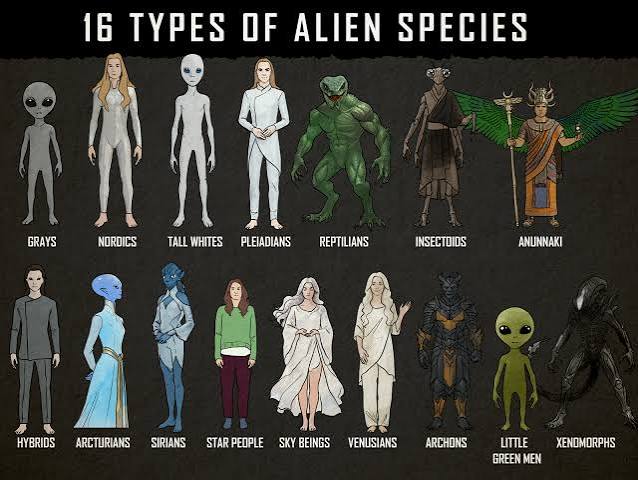 16 Different Types of Aliens Known to Exist & Their Origins