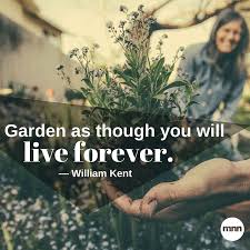 +35 garden quotes by artists, writers & scientists. 32 Inspirational Gardening Quotes
