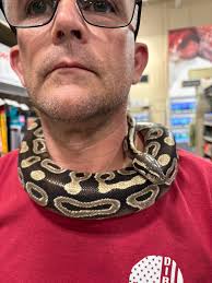 Hey everybody this is my little baby Zappie in one of his fav spots