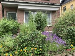 In diesem stadtteil nach einer passenden immobile suchen. Wohnung Mieten In Aachen Brand 103 Aktuelle Mietwohnungen Im 1a Immobilienmarkt De