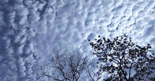 I enjoyed looking at all the different kinds of cloud pictures. How A Novelist Obsessed With Clouds Got Twitter Users To Join His Circle Of Cloud People