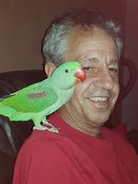 Great Ocean Road: motorcyclist injured when tourist driver crossed onto  wrong side of road calls for tighter regulation of overseas drivers