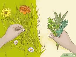 Check spelling or type a new query. 3 Ways To Reuse Dead Flowers Wikihow