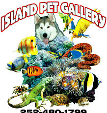 Save 14% on made in the usa with code usa14w. Island Pet Gallery Home Facebook