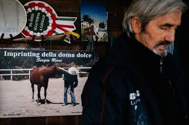 Una ragazzina viene investita da un camion. Fabio Magara Doma Dolce Fotocamere Digitali Fujifilm Serie X Gfx Italia