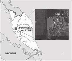 End your day at some of the best bandar seri iskandar hotels that can be found. The Location Of A Study Area In Uitm Sri Iskandar Perak Download Scientific Diagram