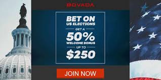 Bovada Sportsbook Review And 2020 Political Betting Odds