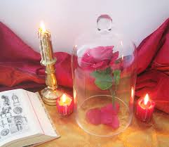 Replongez vous dans ce conte inoubliable qu'est la belle et la bête. Diy La Rose Enchantee De La Belle Et La Bete La Parenthese Imaginaire