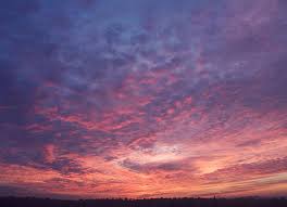 My name is fleur, i am 21 years old and i live in the netherlands. Hd Wallpaper Weather Clouds Sky Sunset Cloud Sky Beauty In Nature Wallpaper Flare