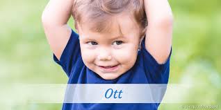 На данном сайте используются функциональные и. Vorname Ott Beliebtheit Bedeutung Mehr