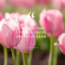 Any event not listed in the eligible activity list does not qualify for the tulip program. 55 Inspirational Flower Quotes Beautiful Motivational Sayings With Pictures