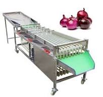 [Hot Item] High Efficiency Stainless Steel Automatic Strawberry Sorting  Machine Cherry Sorter Apricot Grading Processing Equipment