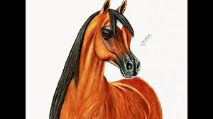 drawing a horse in wood colors كيفية رسم حصان بالالوان الخشبية horses art painting art