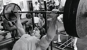 arnold schwarzenegger workout routine old school labs