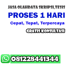 Jasa Olah Data Spss Sem Amos Lisrel Pls Skripsi Dan Tesis