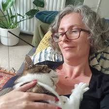 Looking for a cat sitter in Glastonbury.........