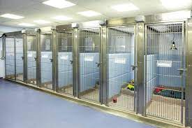 Http Www Rvc Ac Uk Bah Bsah Vet In Camden Cfm Dog Boarding Facility Dog Boarding Kennels Dog Boarding