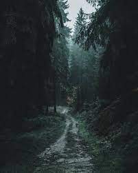 Pinterest Xsedonapinterest Xsedona Forest Aesthetic Nature Nature Photography