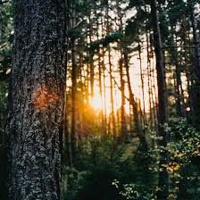 Can You Feel It In The Air Magic Possibilities Abundance Growth New Beginnings Adventure Joy It S Wai Can You Feel It How Are You Feeling Air Magic