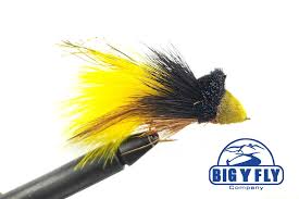 Image result for Dalbergia fischeri