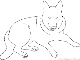 Because of this rarity, you can definitely expect the price tag of these pups to be a little higher, which we will cover in detail next. German Shepherd Puppy Coloring Pages 1684583 Png Images Pngio