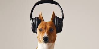 There are hundreds of fitness apps on the market, and. 7 Free Music Download Apps For Android And Ios Make Tech Easier
