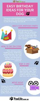 Fun Things To Do On Your Dog S Birthday Easy Birthday Ideas For Your Dog Paw Life Dog Birthday Dog Birthday Party Dog Birthday Party Pets