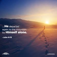 John 6:15. (NKJV) Therefore when Jesus perceived that they were about to  come and take Him by force to make Him king, He departed again to the  mountain by Himself alone. Jesus