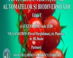 Exclusiv Handbal Campionatul Național Juniori 2 Lps Buzău Incheie Cu O Remiză Turneul Semifinal De La Moreni Pinterest Lps