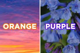 As a sign firmly grounded in nature, taurus feels empowered around the color green. Quiz We Can Guess Your Favorite Color Based On The Images You Choose