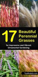 Maybe you would like to learn more about one of these? Pin On Yard Flower Bench Ideas