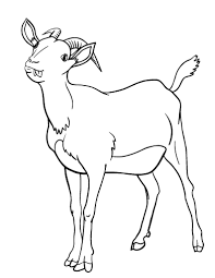 Printable baby goat coloring pages. Pin On Coloring Pages At Coloringcafe Com