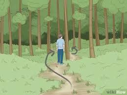 How To Find An Owl S Nest 12 Steps With Pictures Wikihow Download for free in png, svg, pdf formats 👆. how to find an owl s nest 12 steps