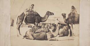 This video was taken outside. Camel Saddles Aramcoworld Aramcoworld