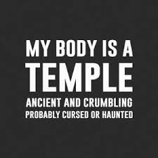 Your body is not a temple, it's an amusement park. My Body Is A Temple A Custom Made Funny Top Quality Sarcastic T Shirt Funny Quotes Sarcasm Funny Quotes Sarcastic Quotes