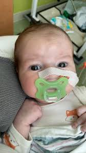 Miles Alexander Lamb Obituary