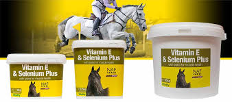 We did not find results for: Vitamin E Selenium Plus Equine Supplements Supplements For Horses