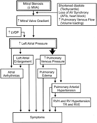 From wikipedia, the free encyclopedia. Current Evaluation And Management Of Patients With Mitral Stenosis Circulation
