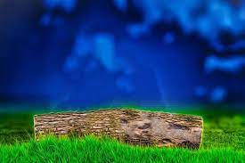 Picsart Nature Background Hd Images Download The resolution of image is 429x76 and classified to nature images, nature wallpaper. picsart nature background hd images