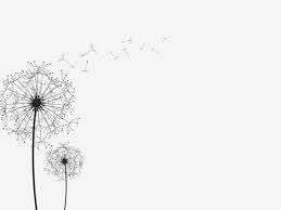 Dalam urusan presentasi, powerpoint sering menjadi andalan. 3 Beautiful Dandelions Silhouettes Powerpoint Background Pictures Latar Belakang Gambar Seni