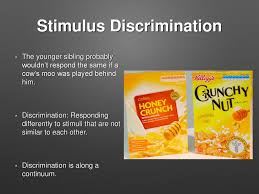 John Watson John B Watson Ppt Download
